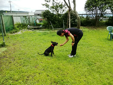 中村トレーナーと犬2